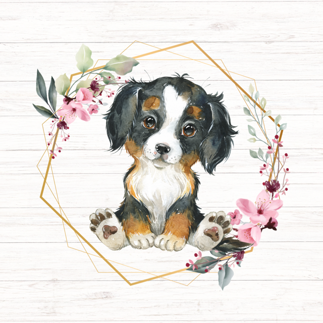 Bernese Mountain Dog puppy inside a golden geometric frame, surrounded by pink flowers on a white wood background.