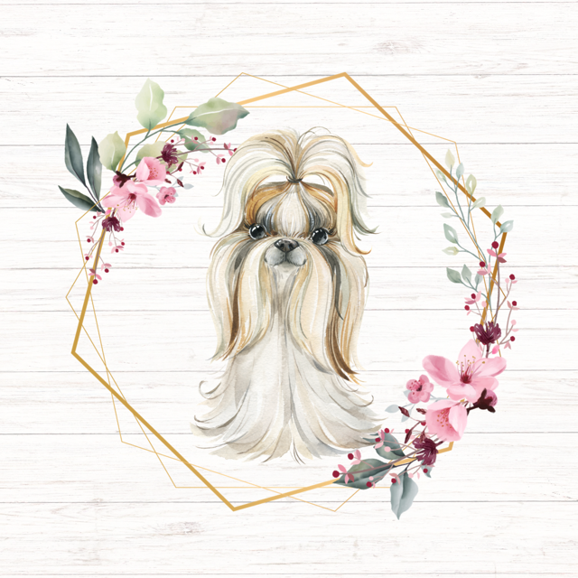 Shih Tzu dog in a gold geometric frame, surrounded by pink flowers and greenery, against a white wood background.