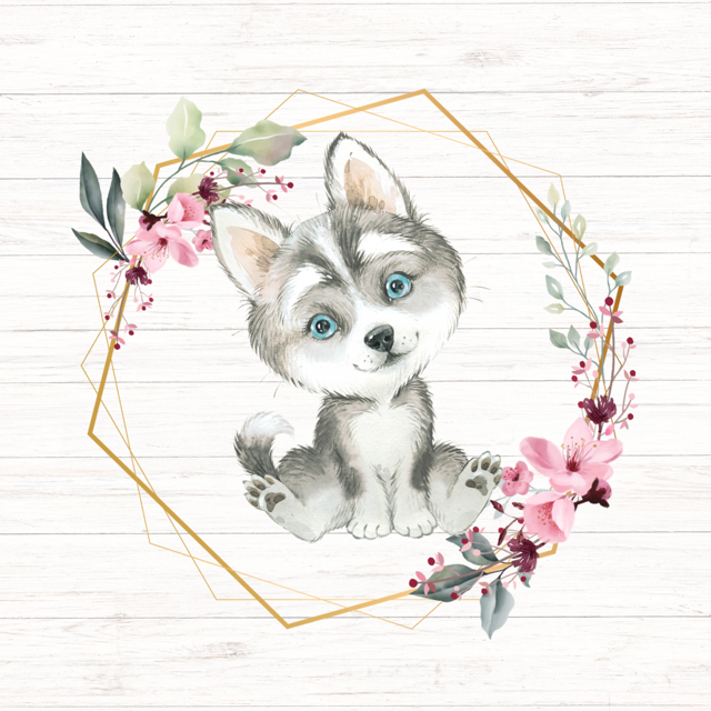 Cute cartoon husky puppy with blue eyes, inside a gold geometric frame with pink flowers on a white wood background.