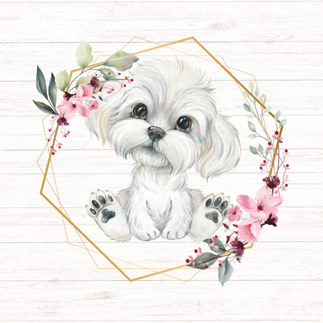 White Maltese puppy sits inside a gold geometric frame decorated with pink flowers and greenery.