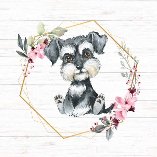 A cute schnauzer puppy sitting inside a gold geometric frame with pink flowers, on a white wood background.