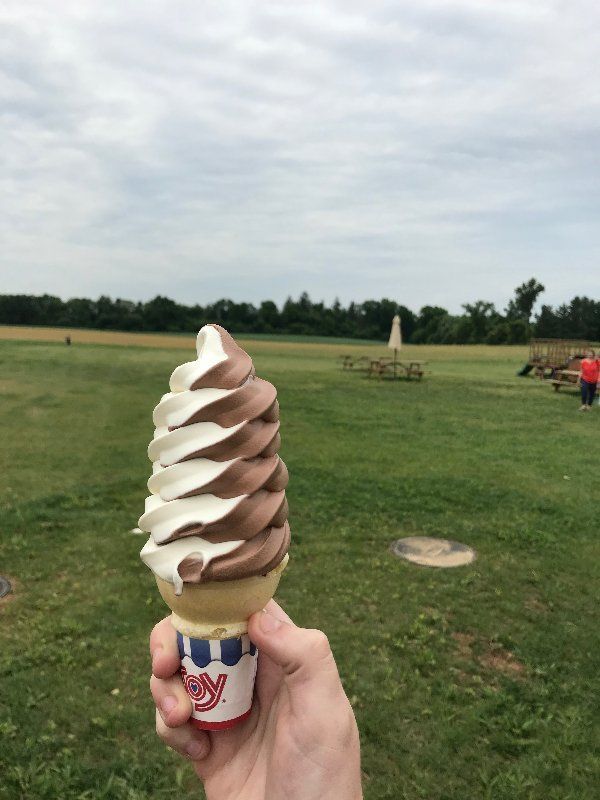 A person is holding an ice cream cone in a field.