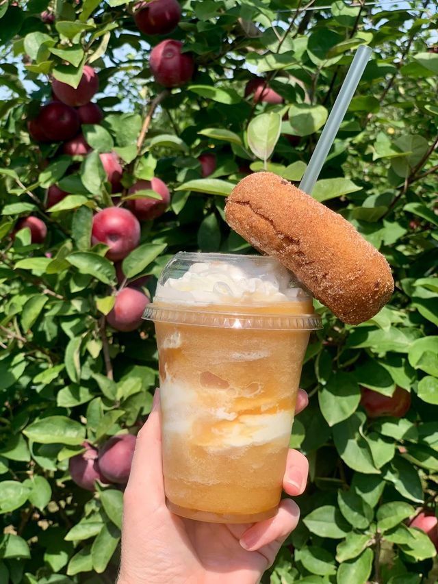 A person is holding a drink with a donut on top of it.