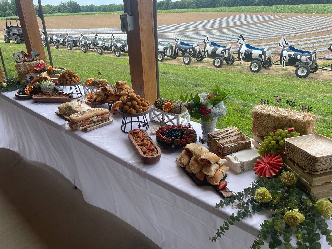 A table with a lot of food on it and a field in the background.