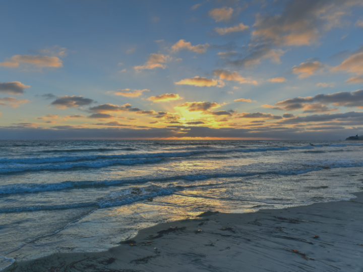 pacific beach demographics