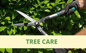Tree Trimming — Tree Services in Revere, MA