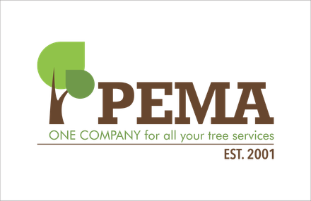 Pema Inc Service