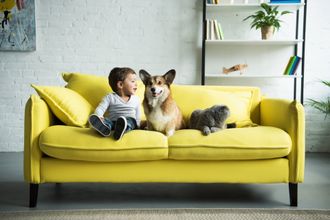 happy child sitting on a yellow sofa with a dog