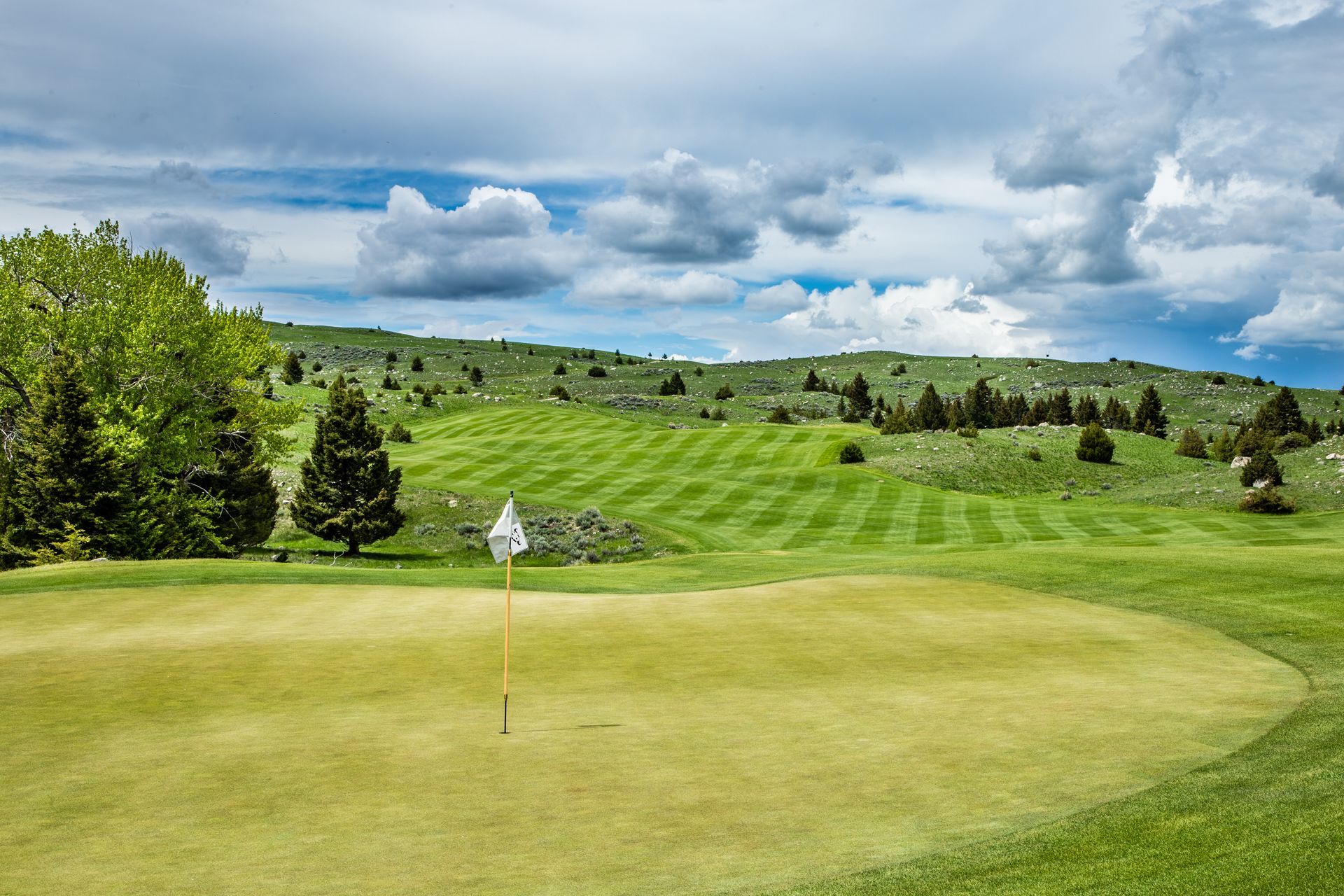 A golf course with a green and trees on a cloudy day.