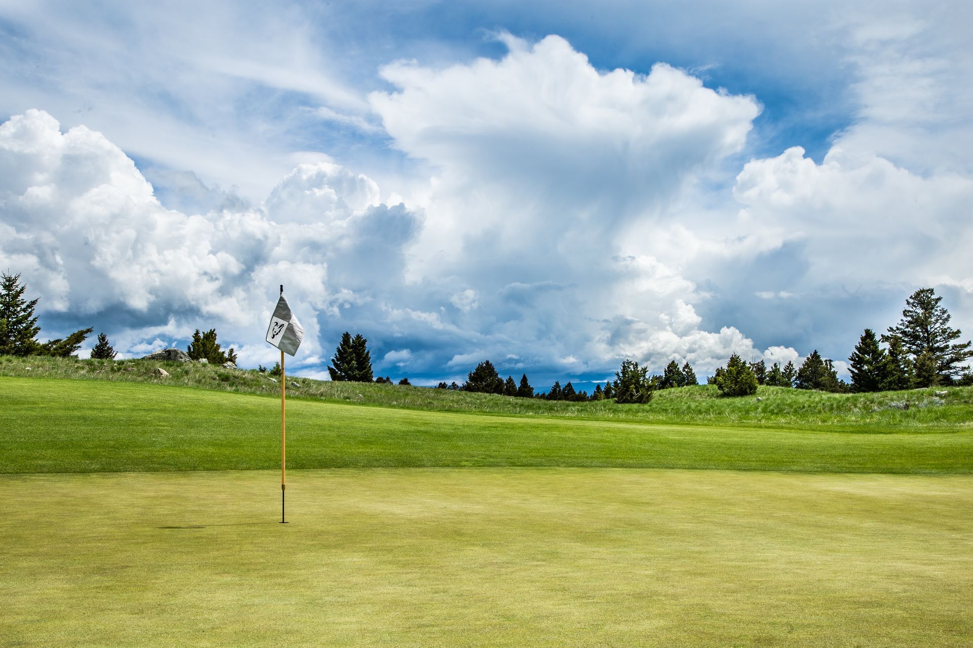A golf course with a flag on the green on a cloudy day.