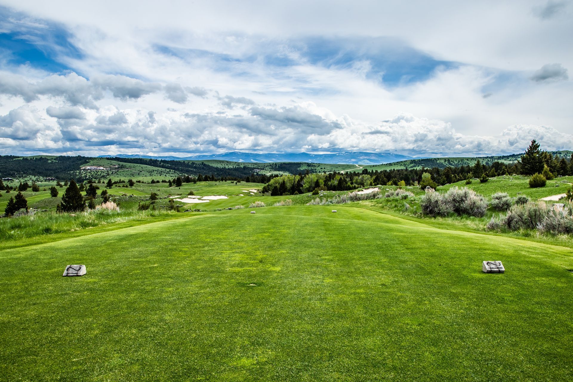 A golf course with a lot of grass and trees on a cloudy day.