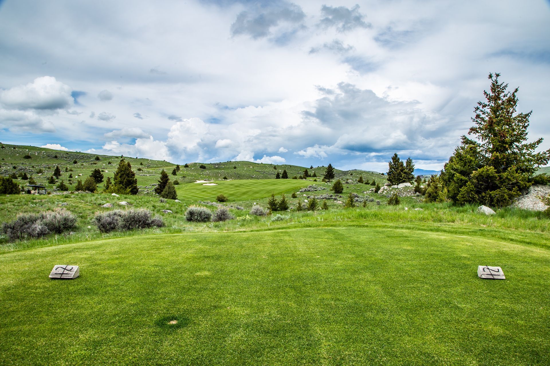A golf course in the middle of a grassy field with trees in the background.