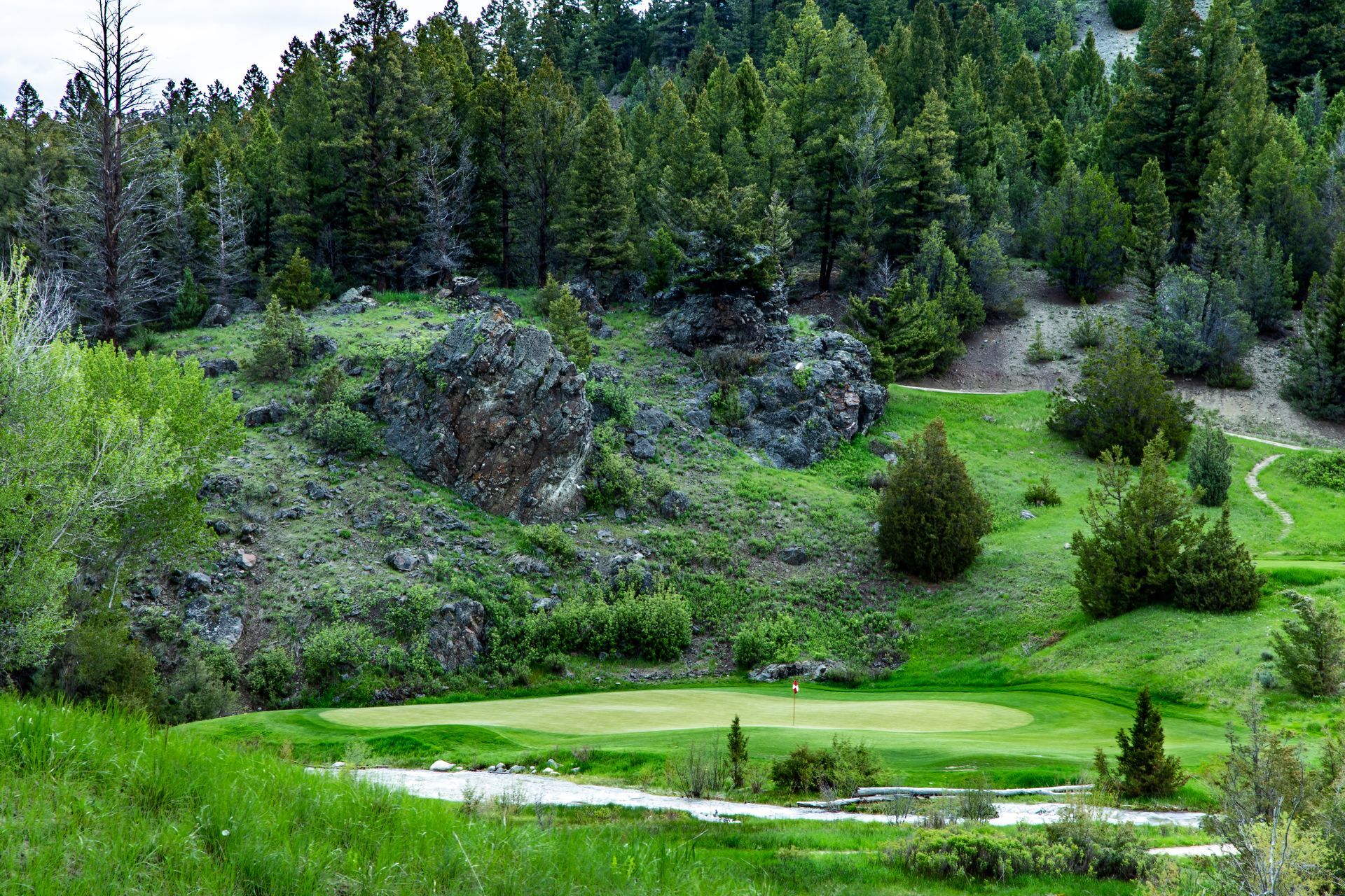 A golf course surrounded by trees and grass in the middle of a forest.