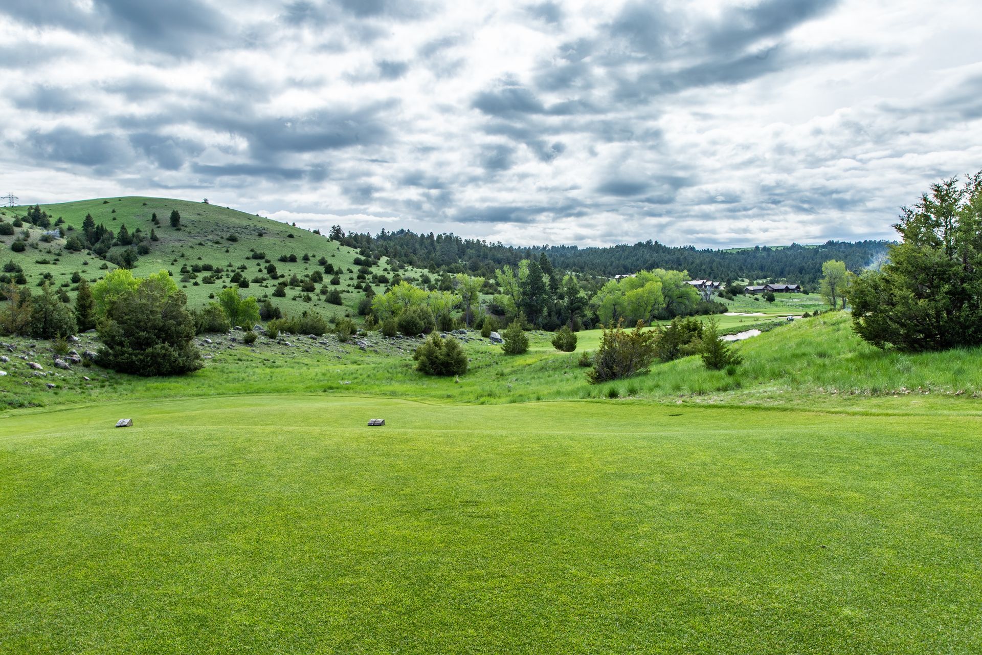 A lush green field with trees and hills in the background on a cloudy day.
