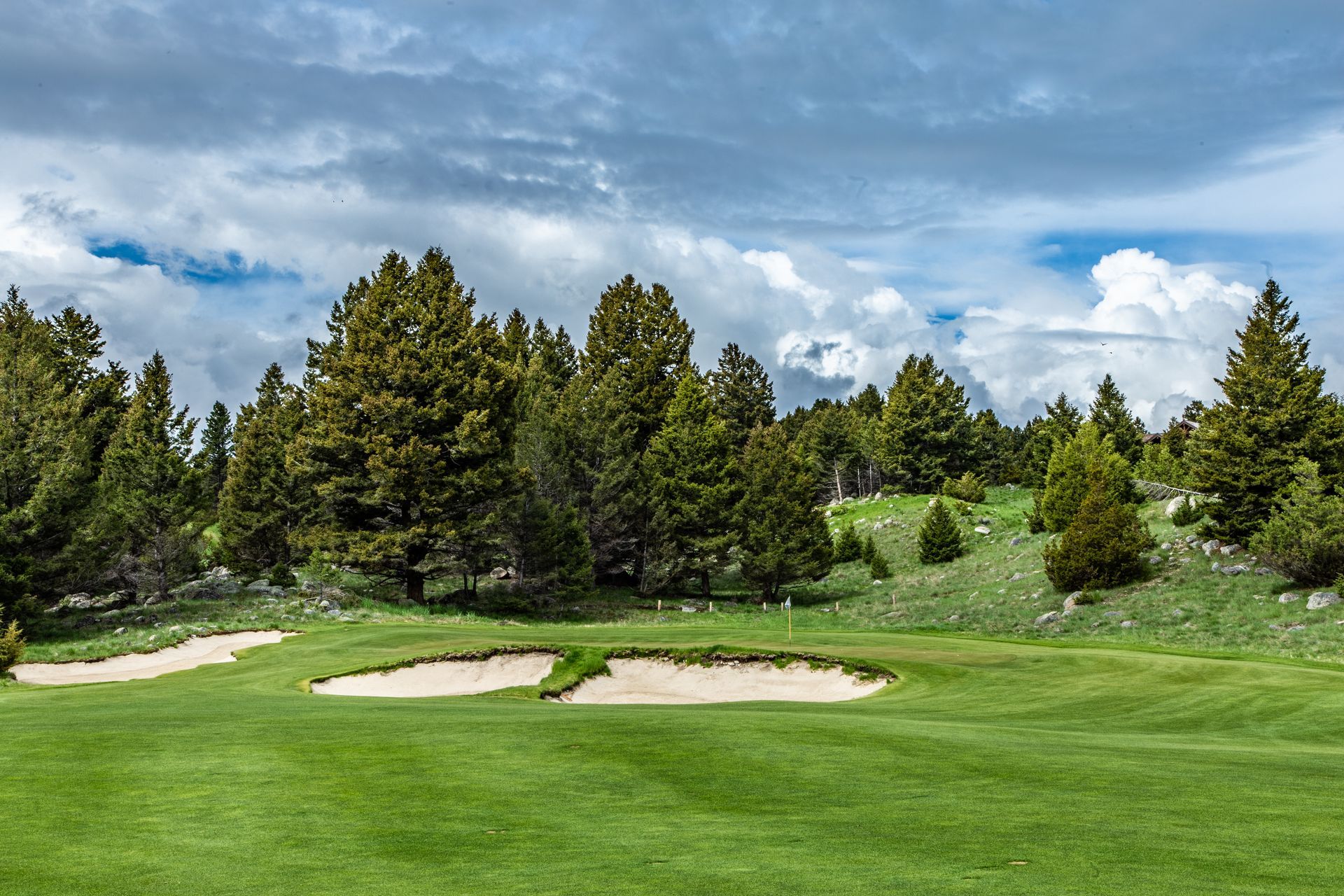 A golf course with a lot of trees in the background