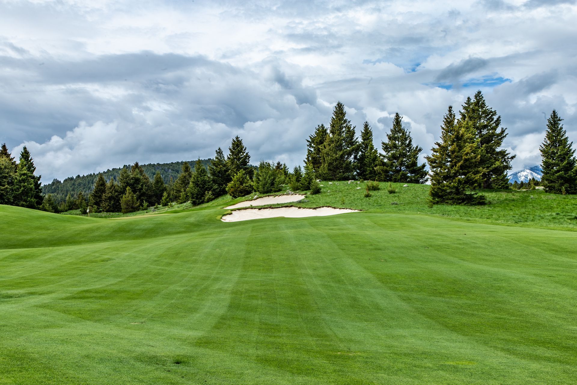 A golf course with a lot of green grass and trees in the background.