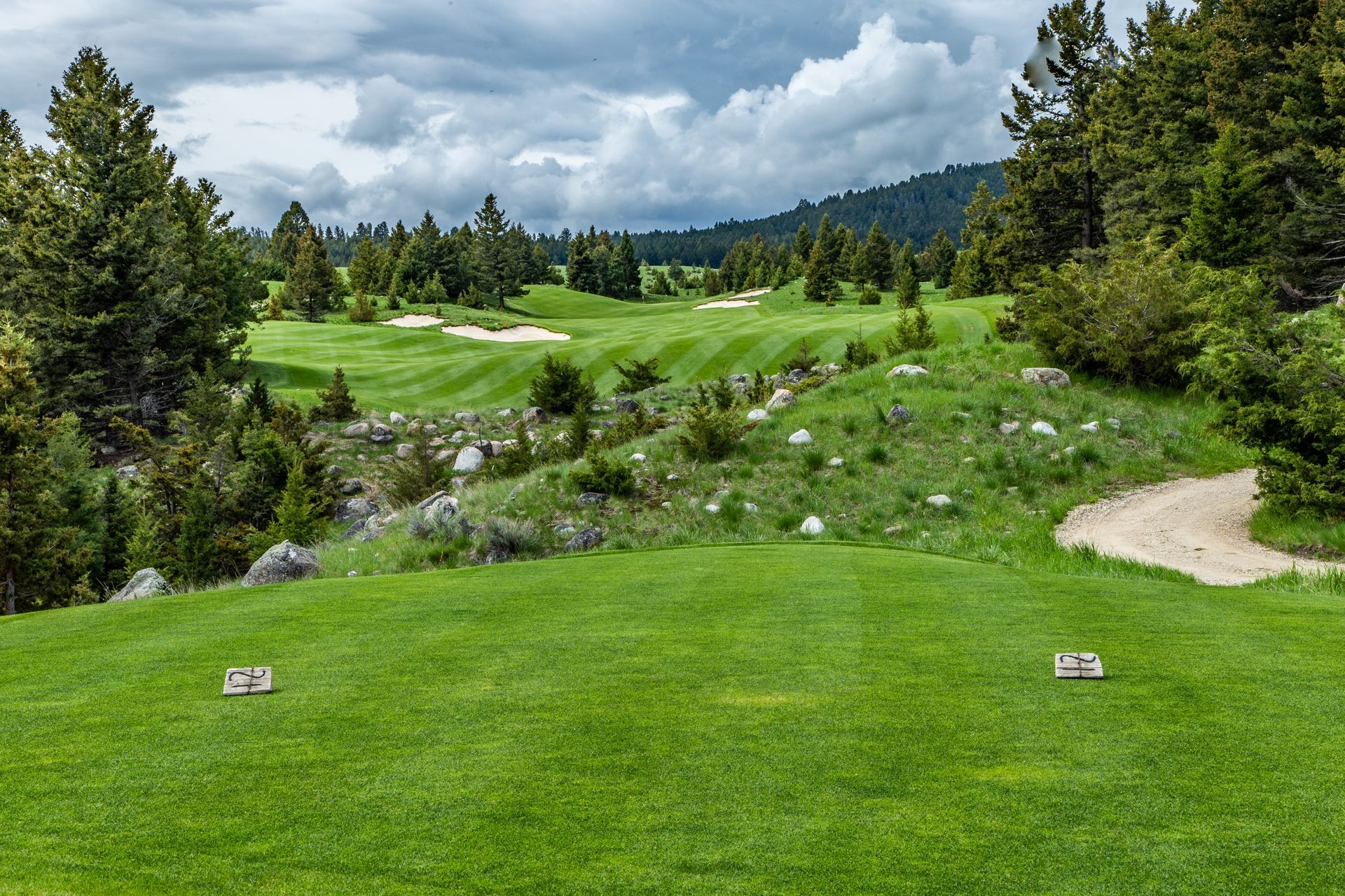 A golf course surrounded by trees and grass on a cloudy day.