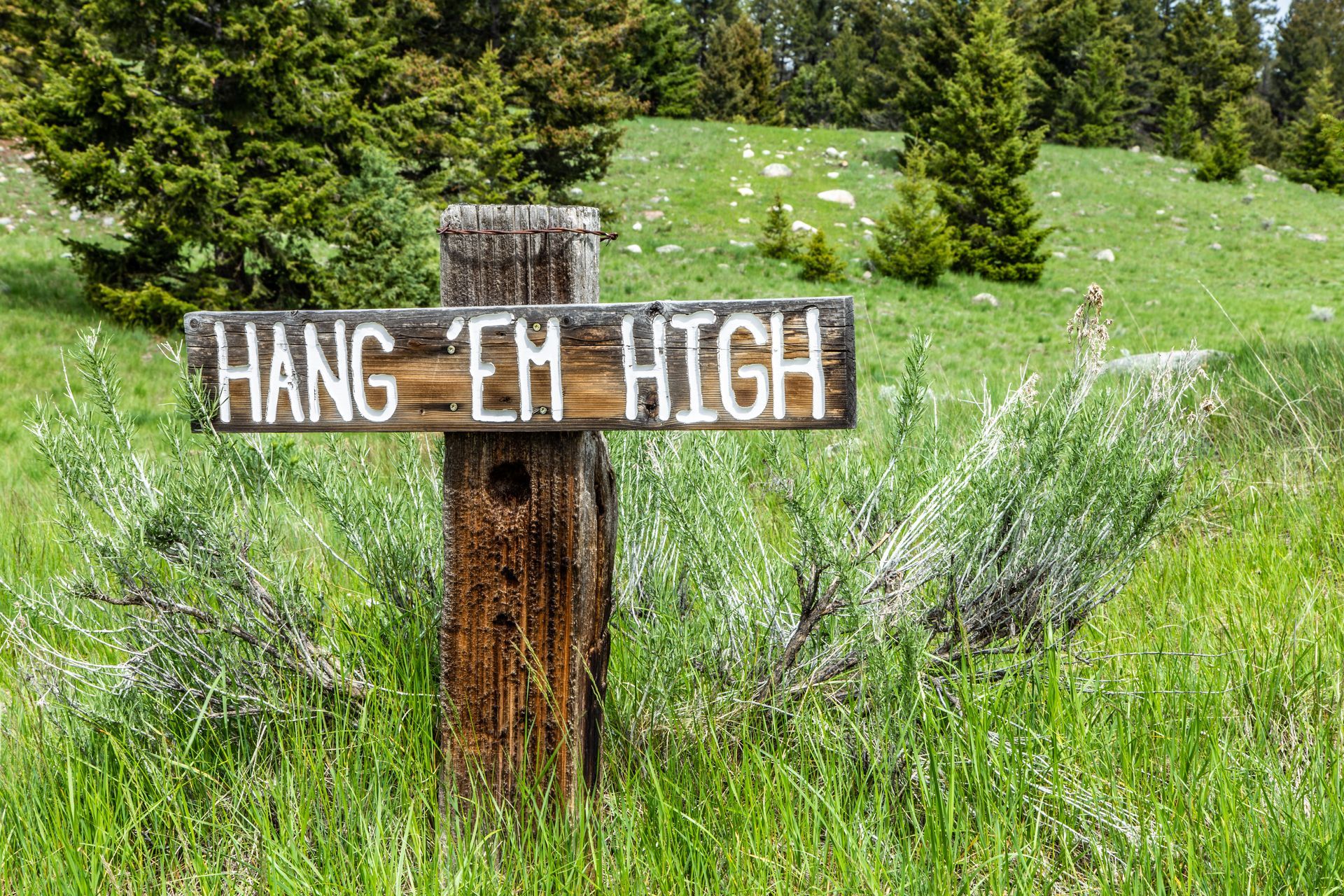 A wooden sign that says `` hang em high '' is in the middle of a grassy field.
