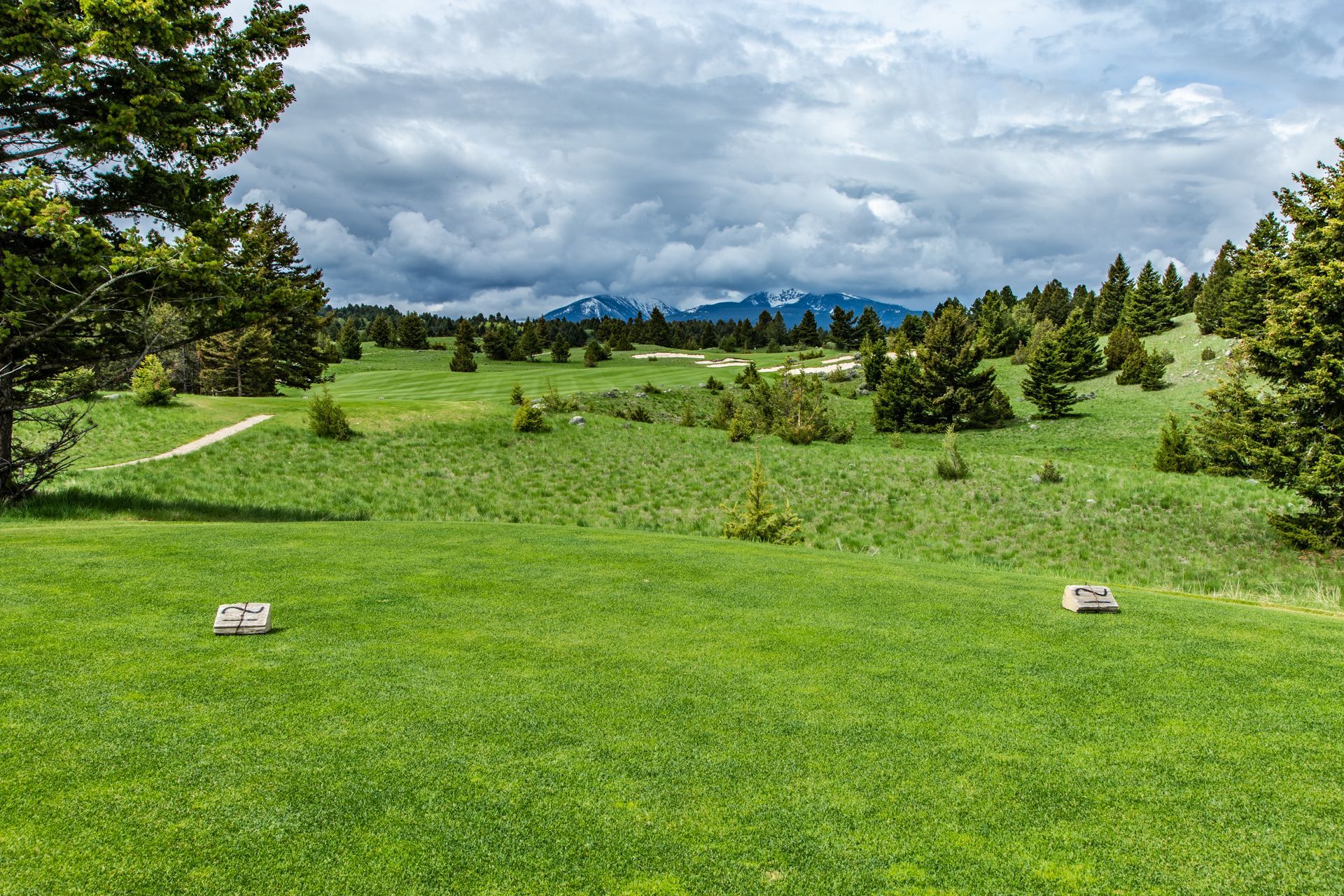 A lush green field with trees and mountains in the background.
