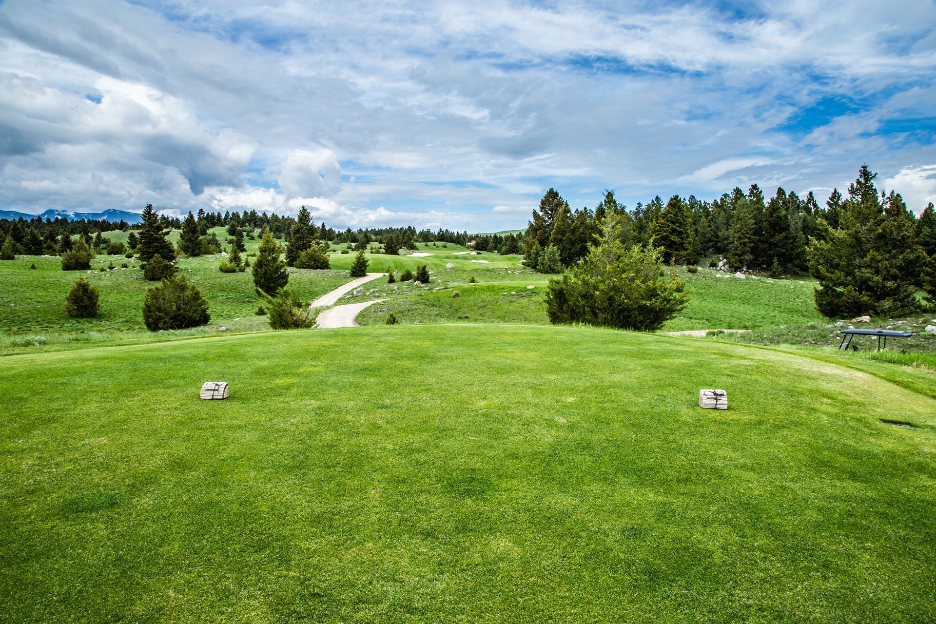 A golf course with a lot of green grass and trees in the background.