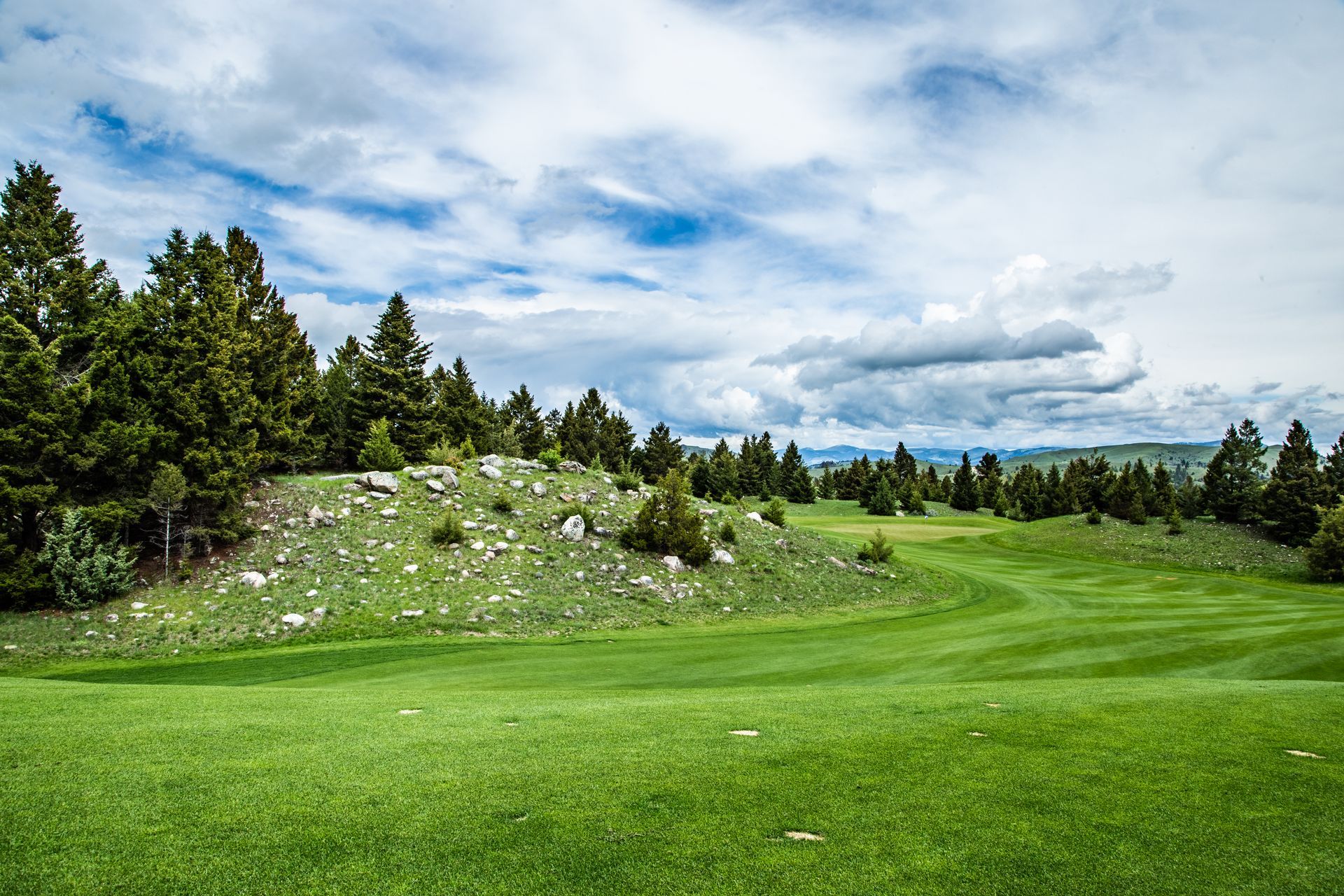 A golf course with a lot of grass and trees in the background.