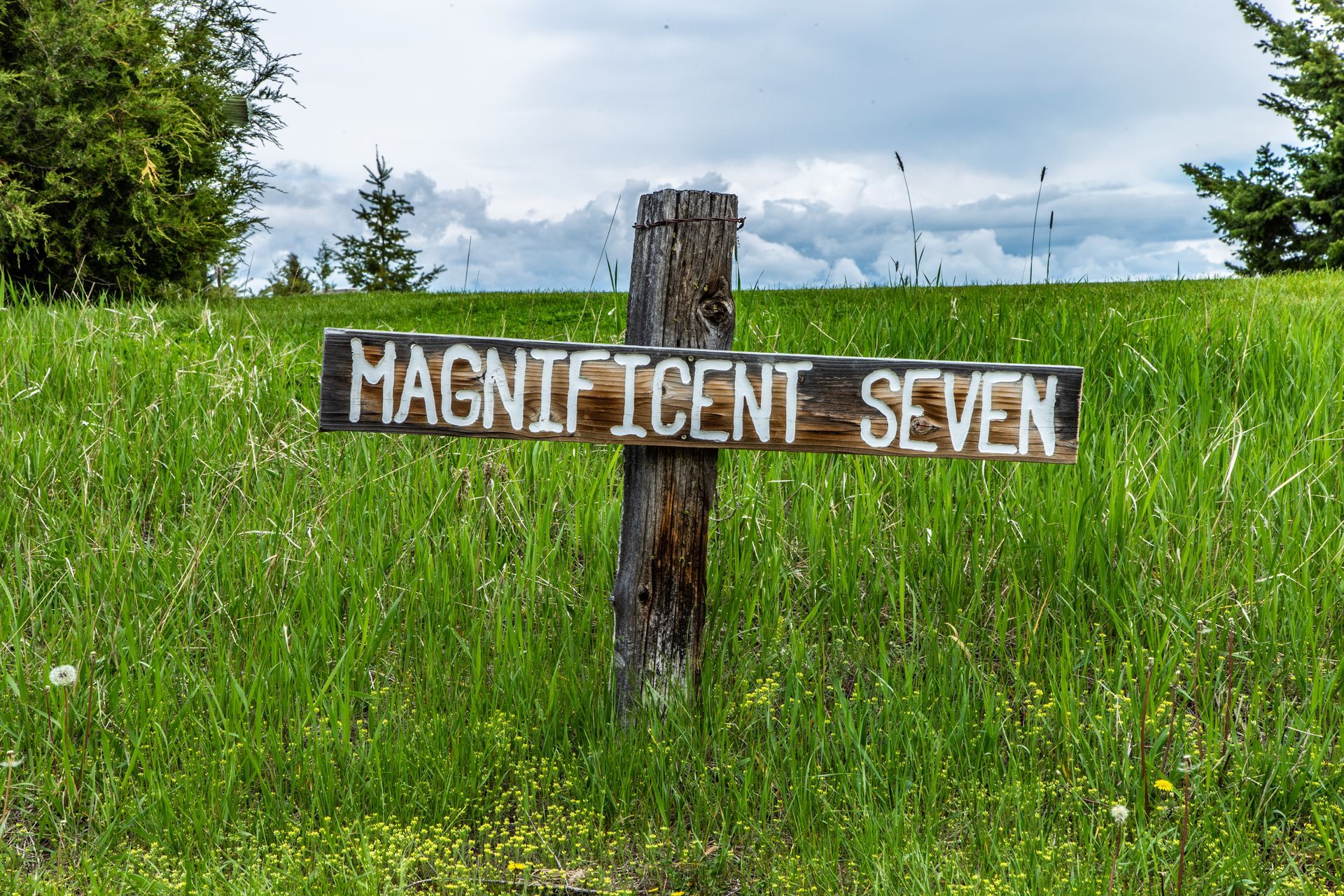 A wooden sign in a grassy field says magnificent seven