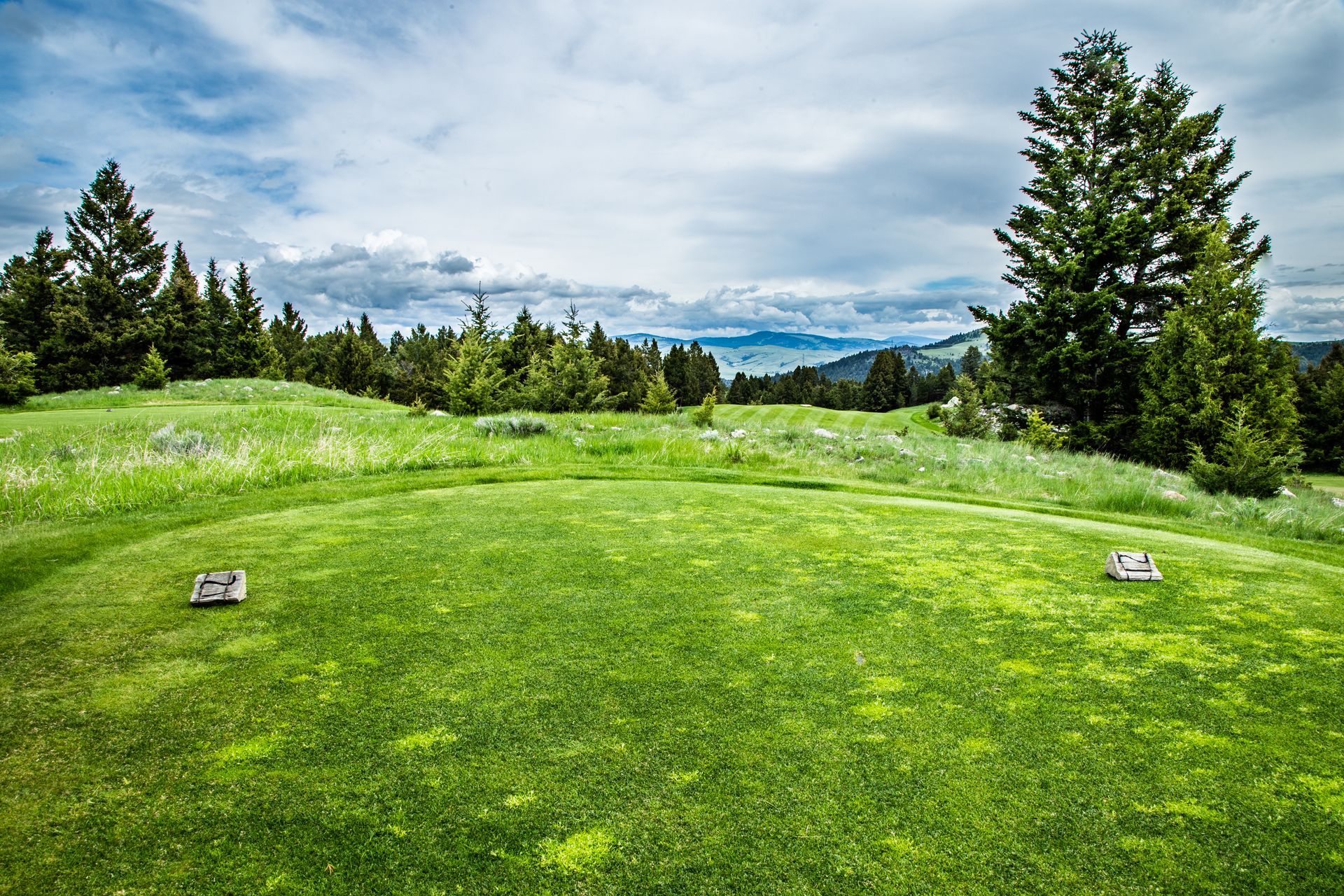 A golf course with a lot of green grass and trees in the background.
