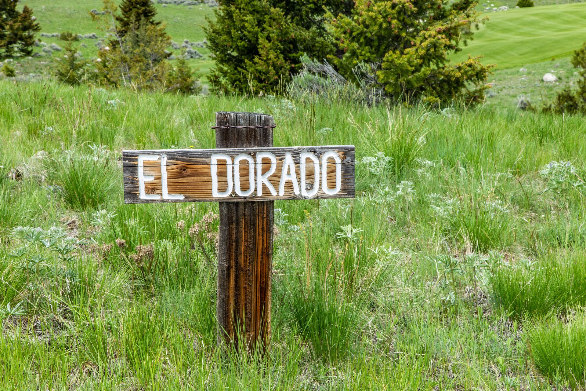 A wooden sign in a grassy field says el dorado