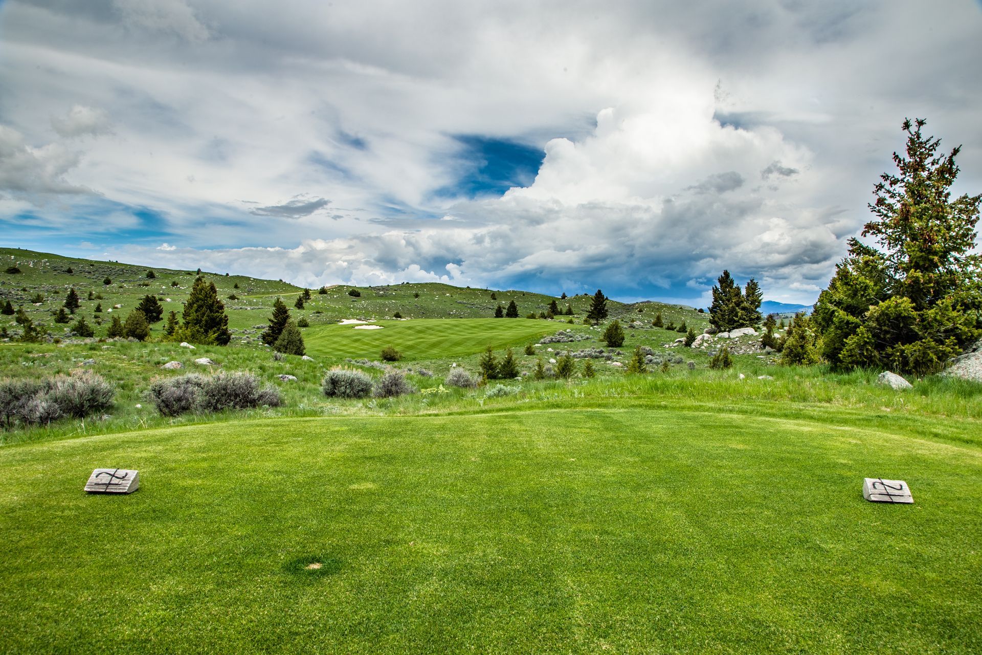 A golf course in the middle of a grassy field with a cloudy sky in the background.