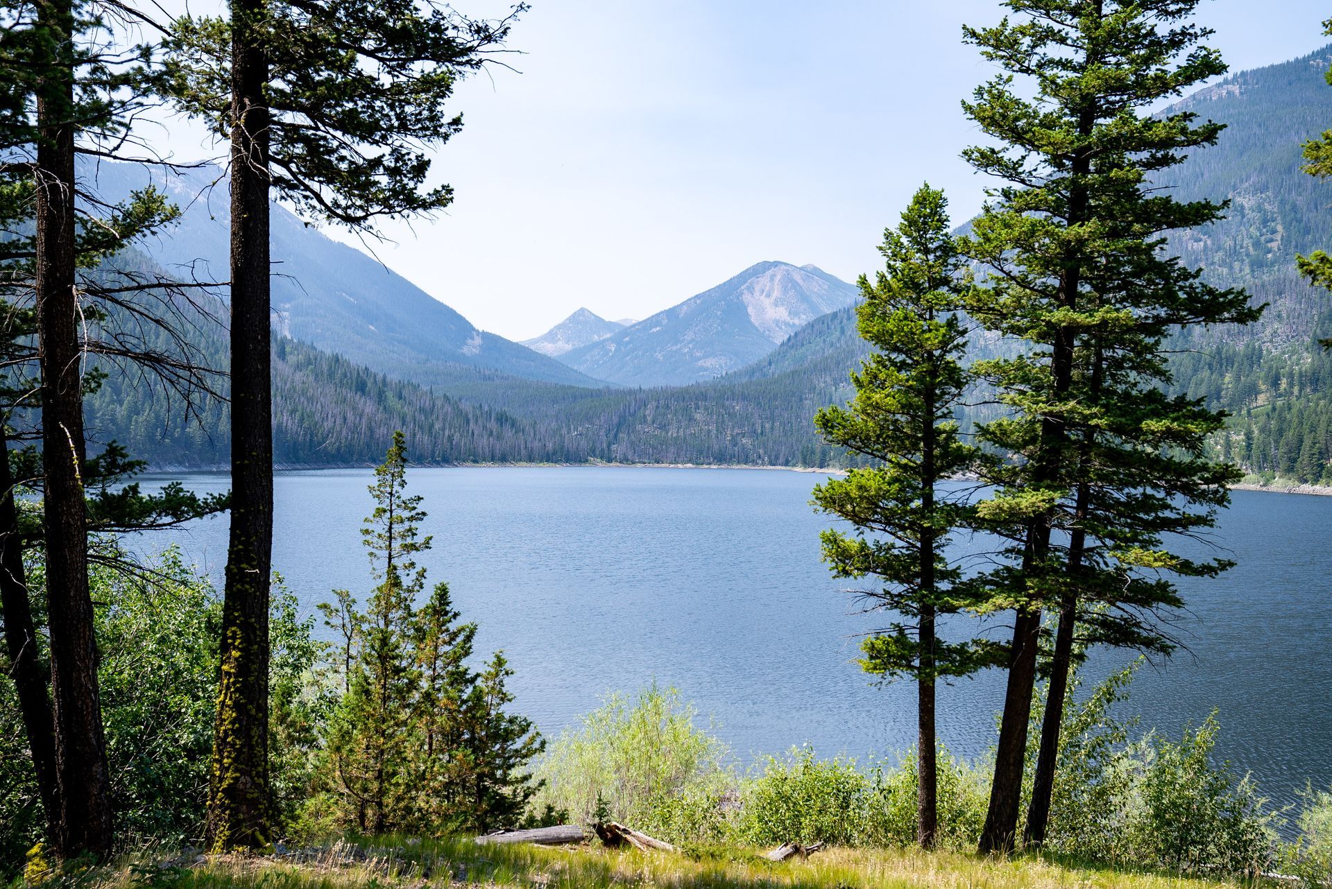 A lake surrounded by trees with mountains in the background