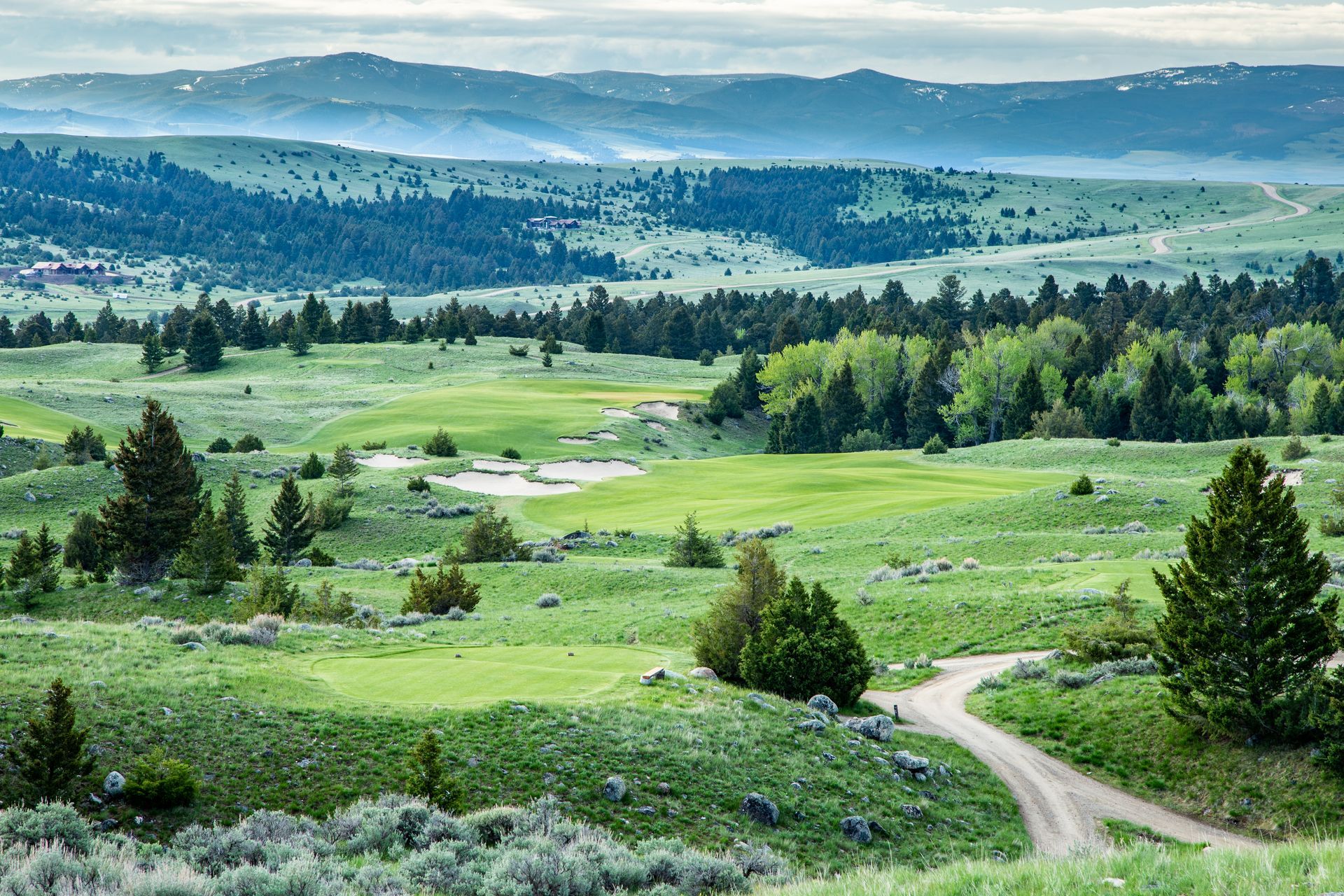 A dirt road going through a grassy field with trees and mountains in the background.