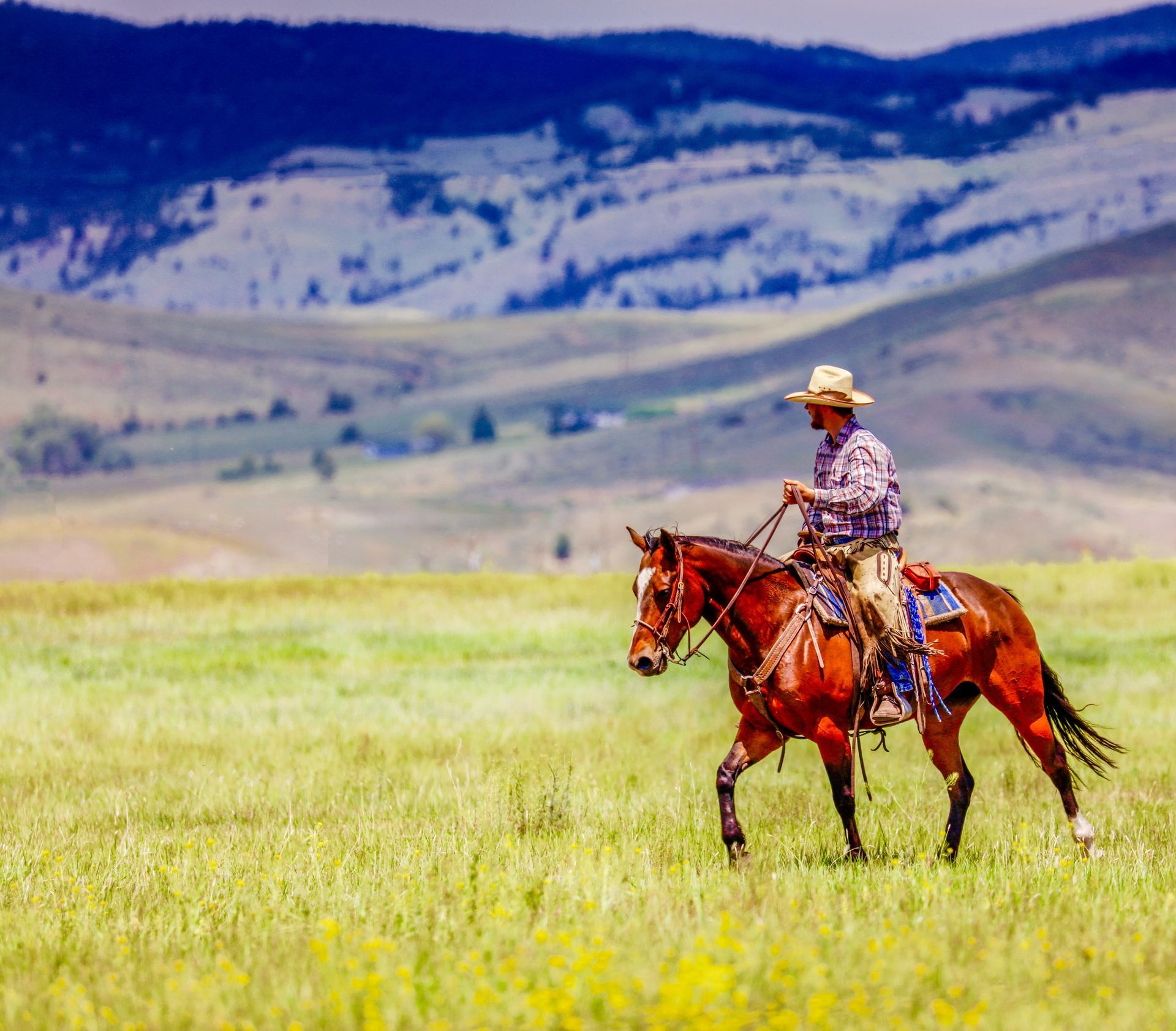 A man is riding a horse in a field with mountains in the background.