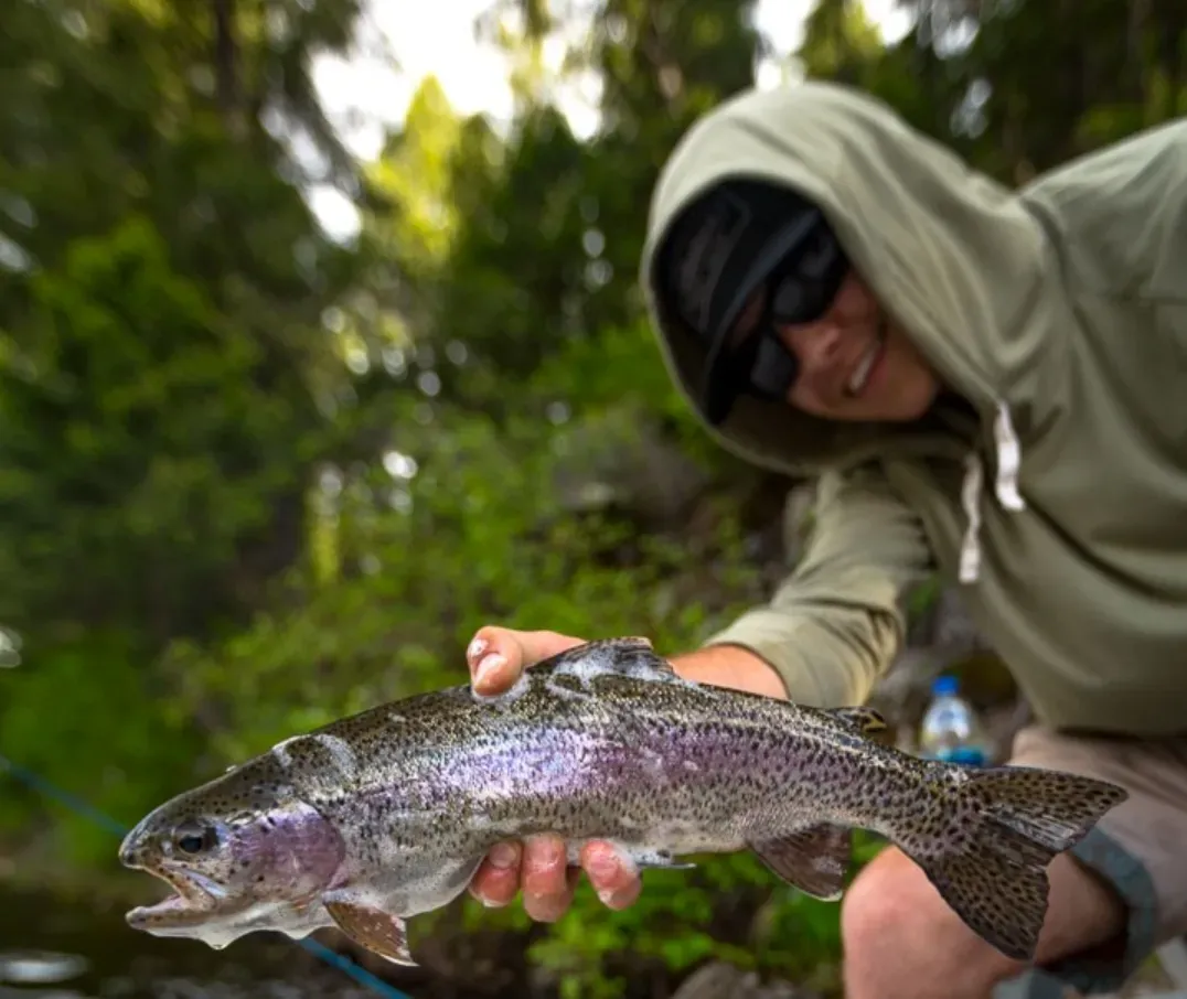 A man in a hoodie is holding a rainbow trout in his hands.