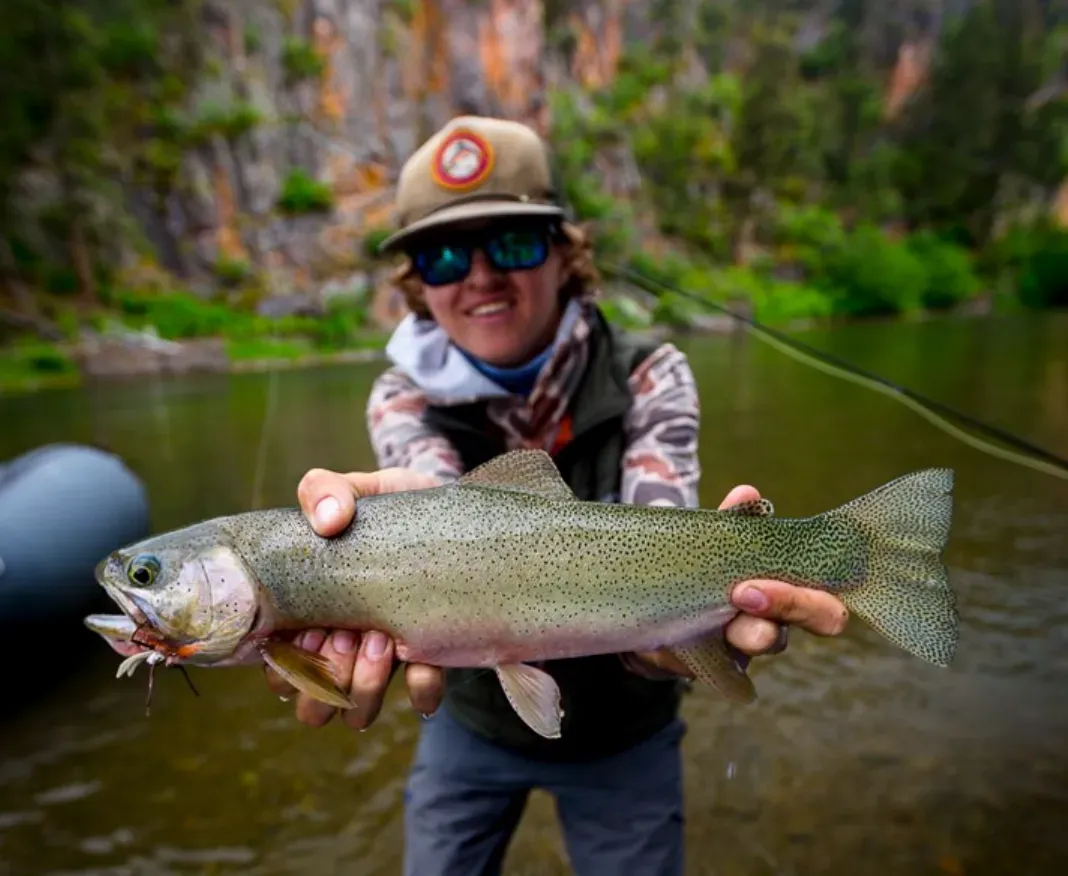 A man is holding a large rainbow trout in his hands.