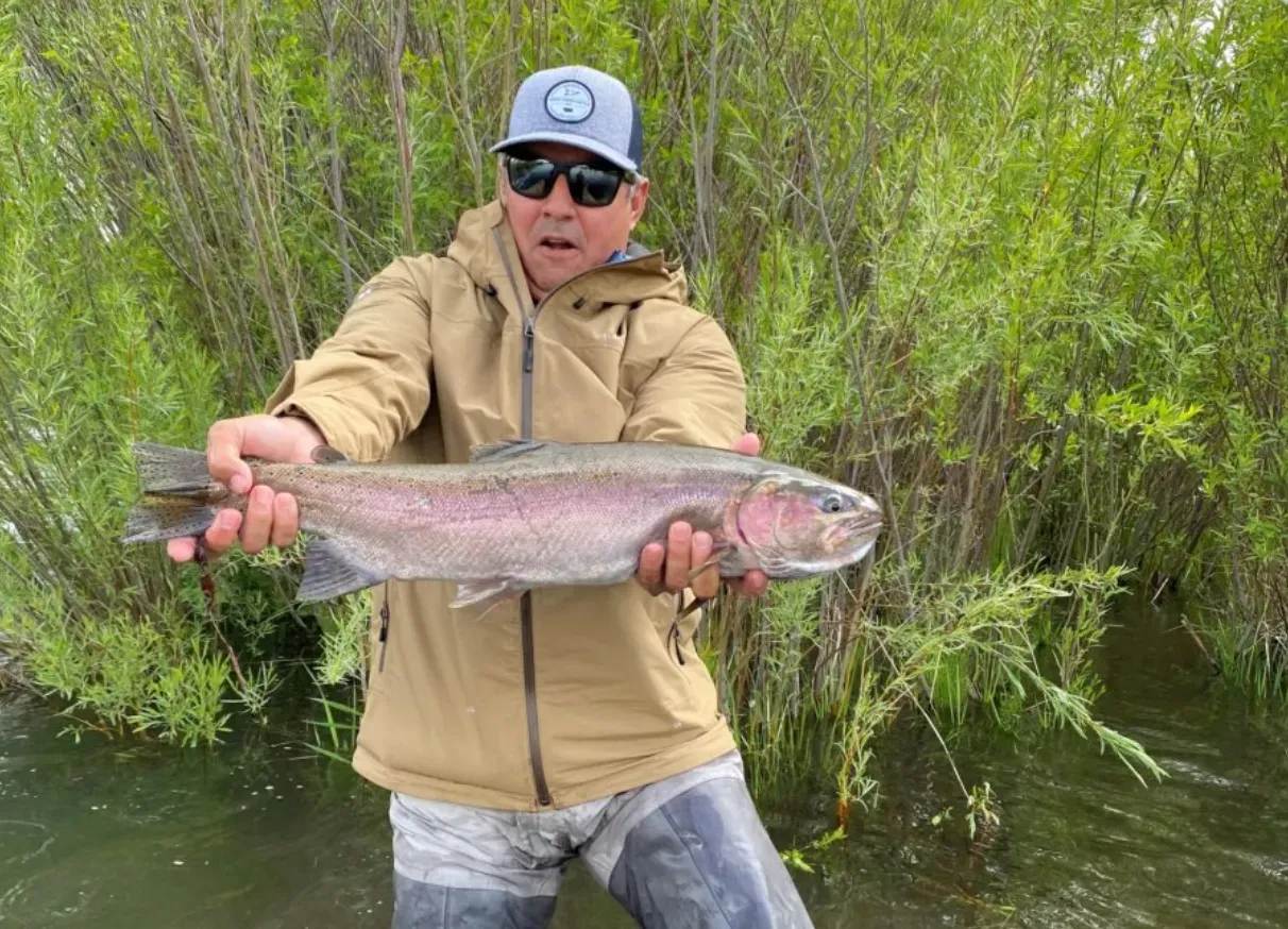 A man is holding a large rainbow trout in his hands.