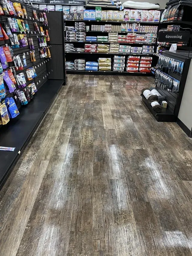 House Cleaners Near Me Saskatoon, SK