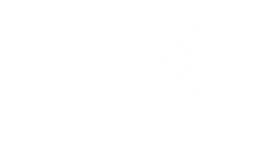 The Major Agency, LLC logo