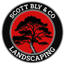 Scott bly & co landscaping logo with a tree in the center