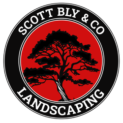 Scott bly & co landscaping logo with a tree in the center