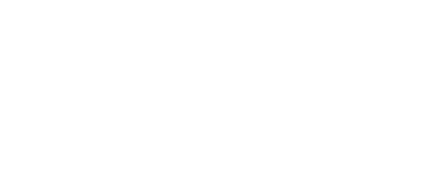 magic city apartment association logo
