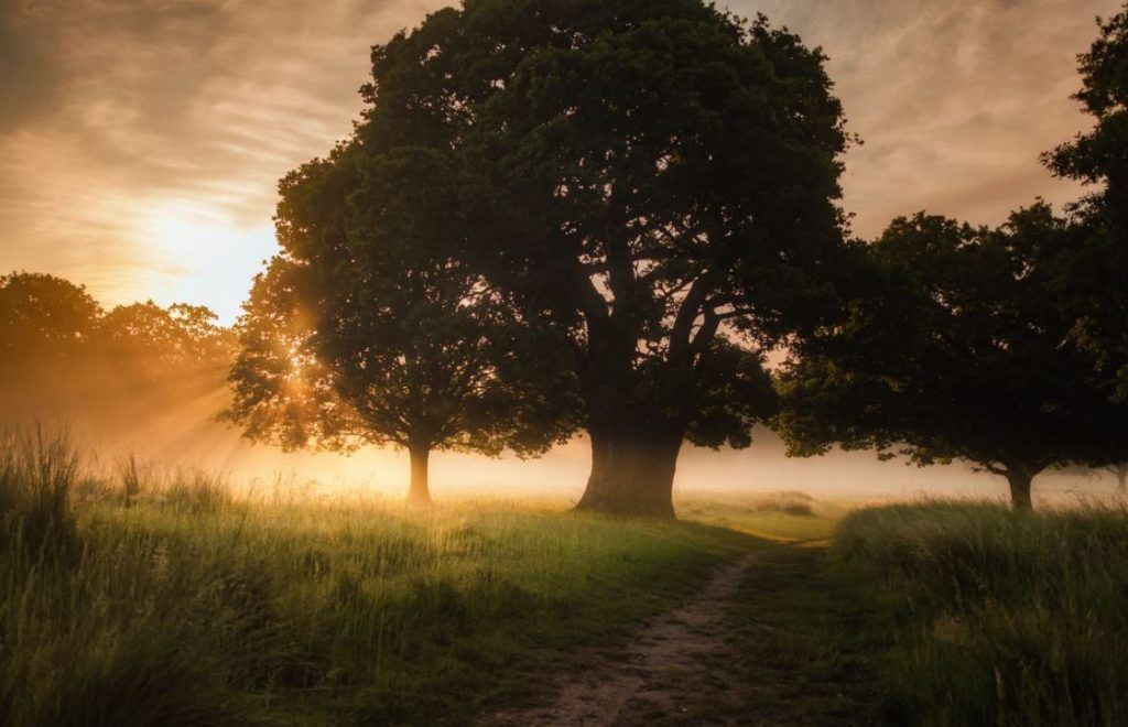 What is a Committal Service?