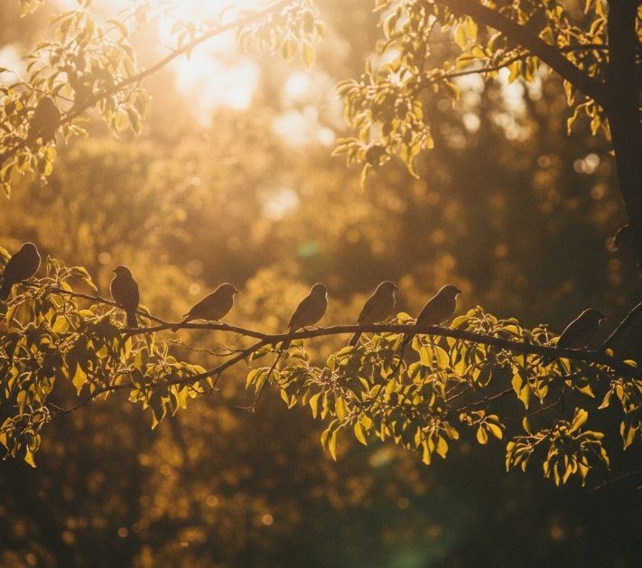 cremation services in Martensville, SK