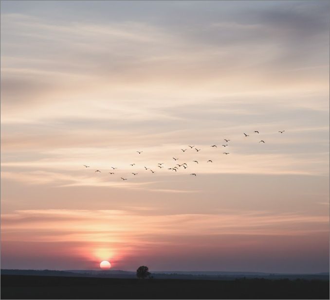 cremation services in Warman, SK