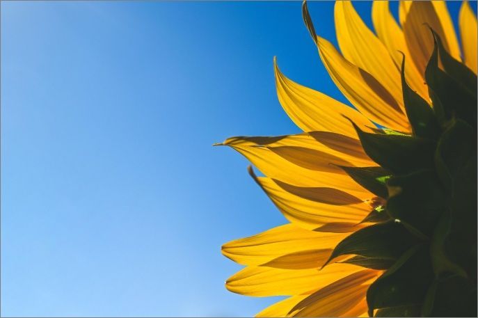 funeral homes in Martensville, SK
