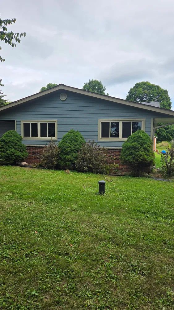 Blue-sided house with two windows, green bushes, and lawn under a cloudy sky.