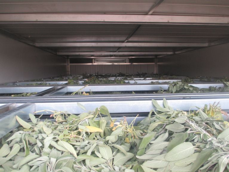 herb drying