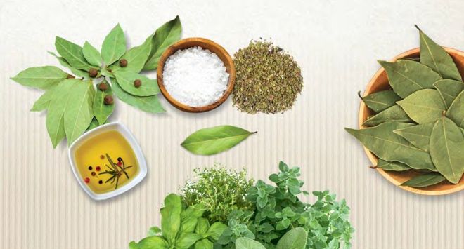 kitchen herbs production