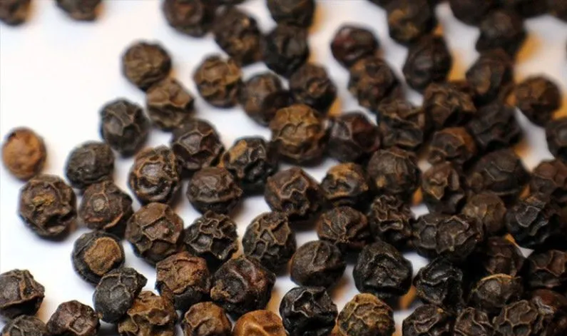 black pepper production