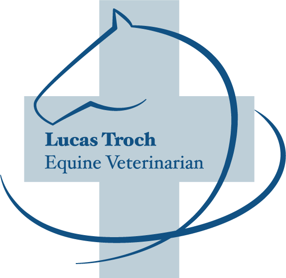 veterinarian for horses
