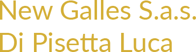 NEW GALLES S.A.S. DI PISETTA LUCA - LOGO